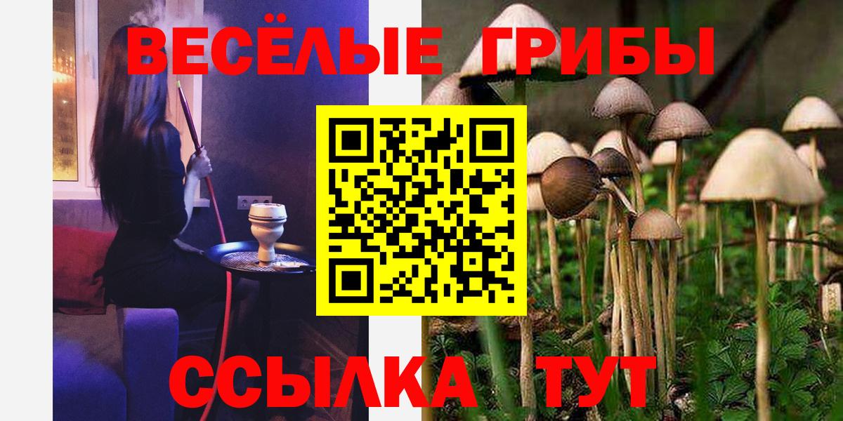 Псилоцибиновые грибы Cubensis  Вход с VPN  Вязьма 